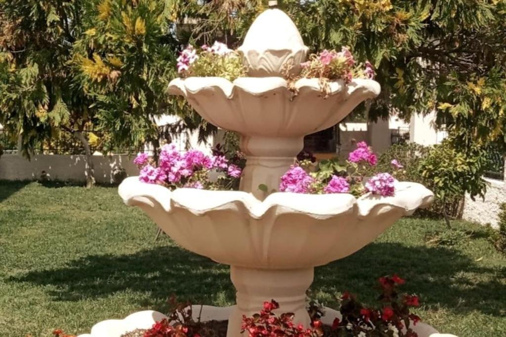 Apartment μεντησ *